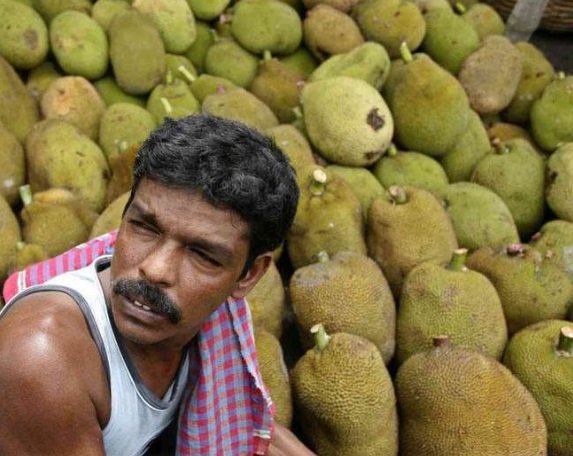 कटहल के स्वास्थ्य लाभ : खूब खाइए कटहल, इम्युनिटी बढ़ाने में भी मिलती है मदद