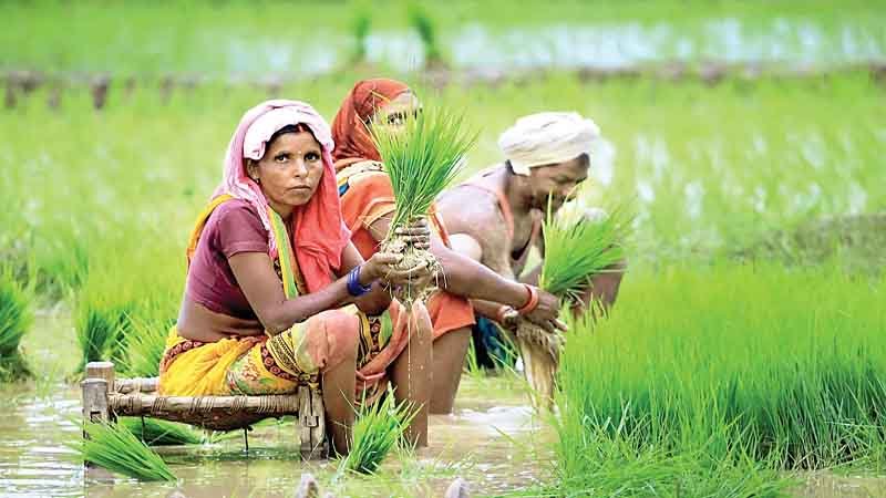 किसानों को सुरक्षा मुहैया करवाएगी सरकार, मणिपुर में वीआईपी ड्यूटी से हटाए सुरक्षा कर्मियों को सौंपी जिम्मेदारी